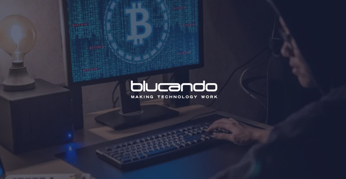 blucando Featured Image 2